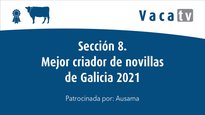 Secciones 7 y 8. Mejor criador de novillas de Feiradeza y de Galicia 2021