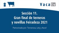 Sección 11. Gran final de terneras y novillas Feiradeza 2021